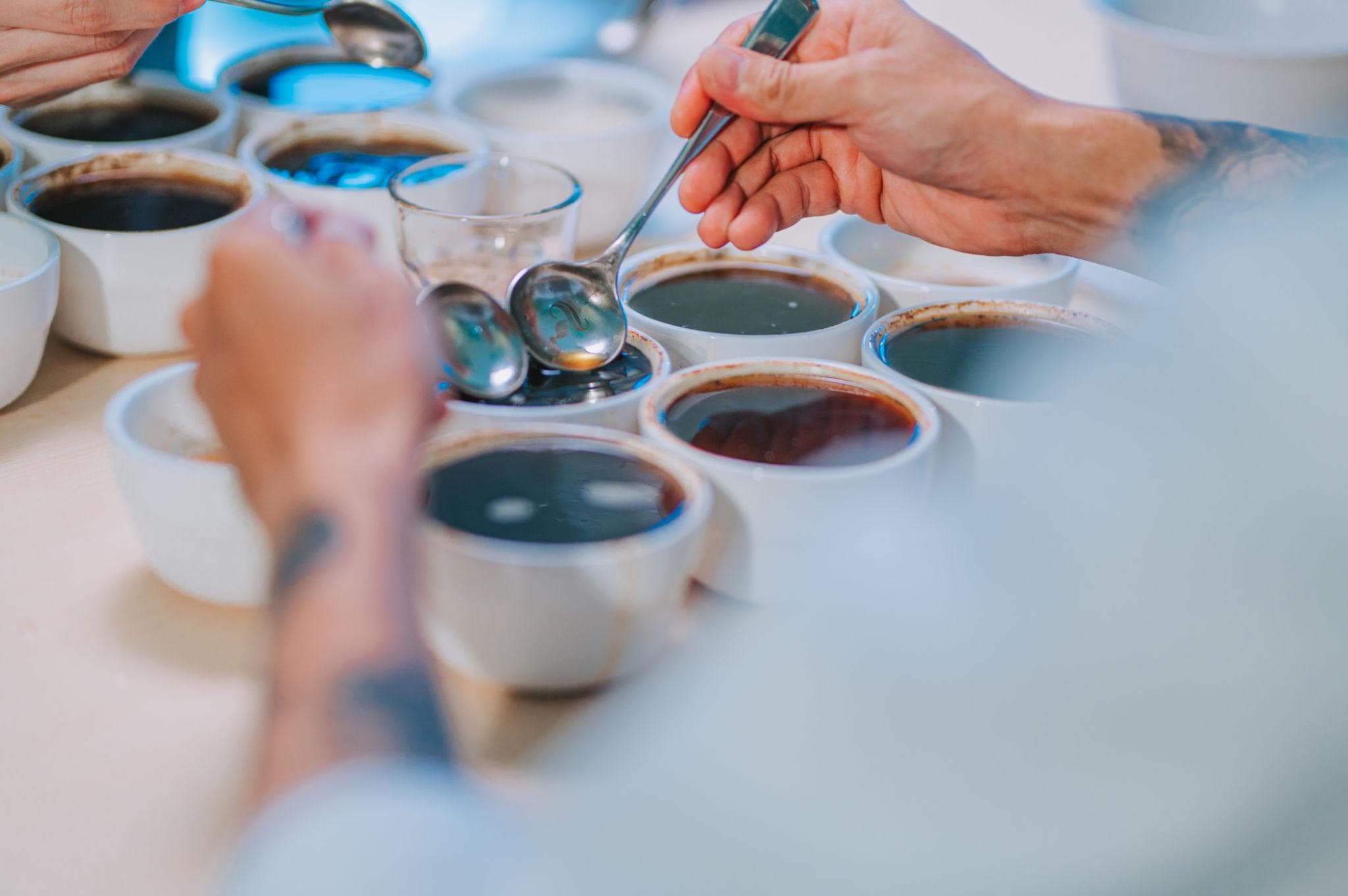 Kaffeeverkostung mit mehreren Tassen zur sensorischen Analyse