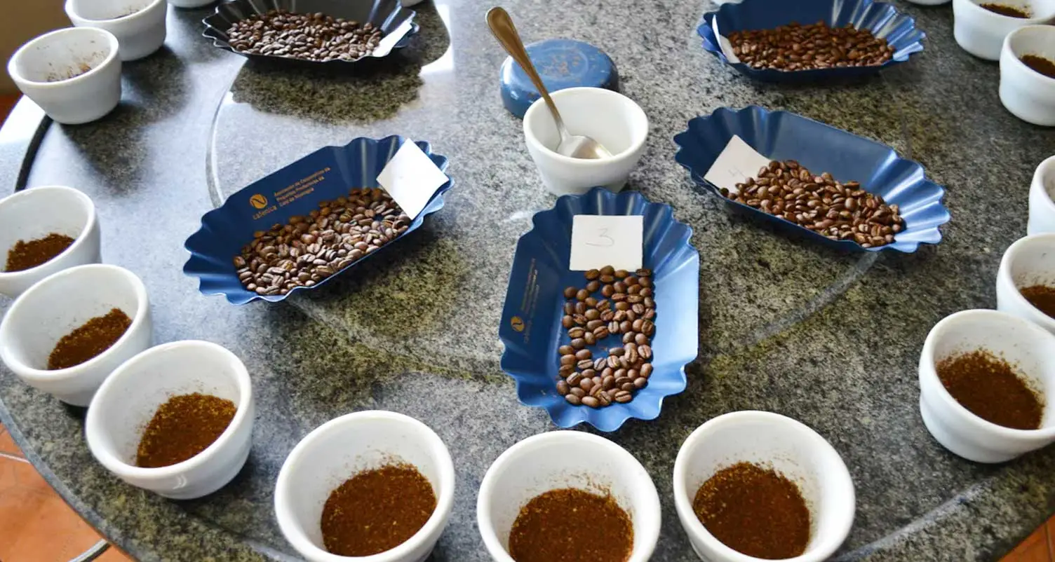 Tisch für sensorische Kaffeebewertung mit Bohnen und gemahlenem Kaffee