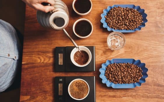 Coffee cupping for bean selection through sensory evaluation