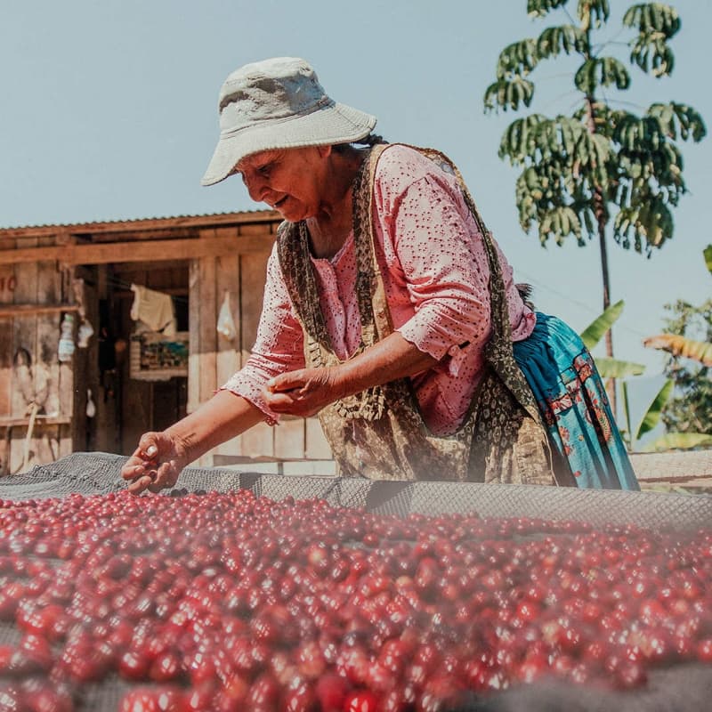 Kaffeebäuerin in Bolivien vor einer Kaffeeplantage
