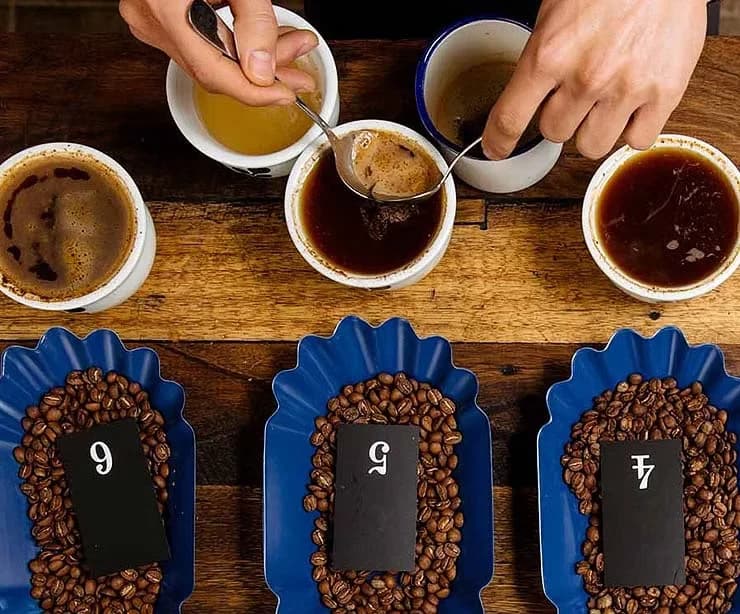 Kaffeeverkostung mit mehreren Proben und nummerierten Bohnenmustern